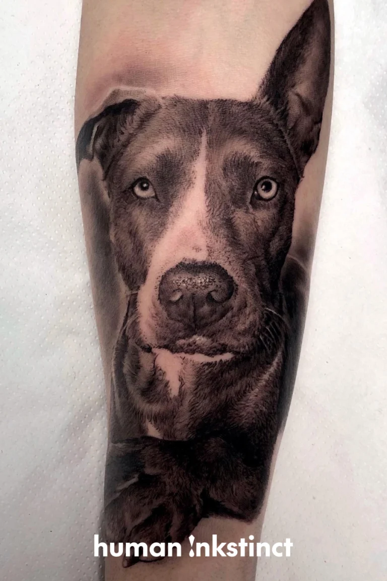 Hunde Portrait Tattoo